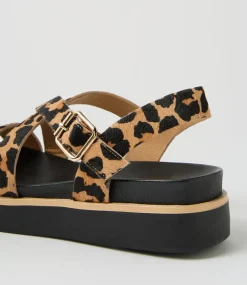 Women DIANA FERRARI Flats|Sandals-Blaklee Leopard Black Leather Sandals