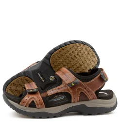 COLORADO Casuals|Sandals-JAVELIN DK BROWN