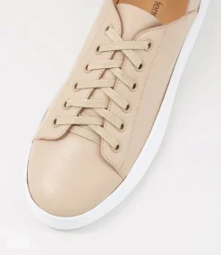Women DIANA FERRARI Sneakers-Oaks Stone Leather Sneakers