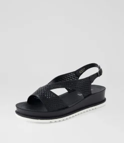Women I LOVE BILLY Sandals-Roltine Black Sandals