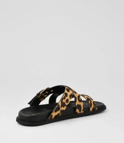 Women DIANA FERRARI Flats|Sandals-Vileen Leopard Black Leather Sandals